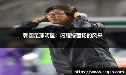 韩国足球明星：闪耀绿茵场的风采